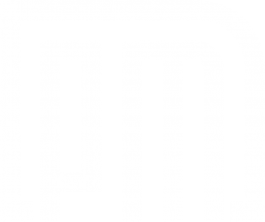 PROFI MUSIK